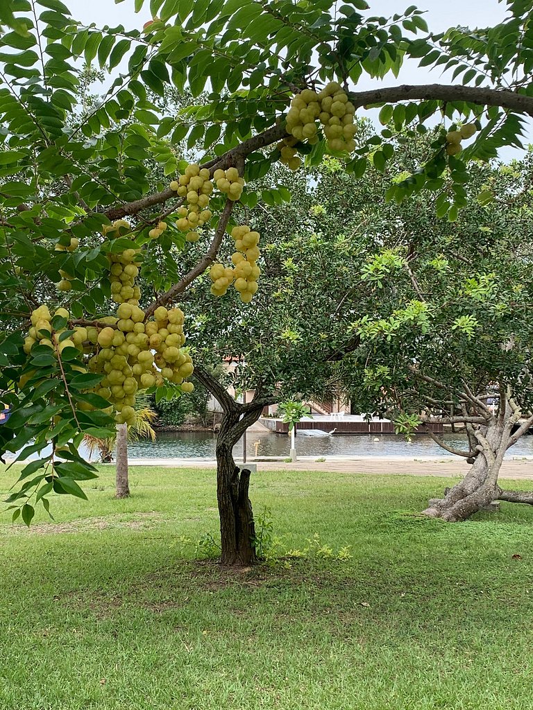 Acogedor apartamento para 6 personas en Cabo Frio